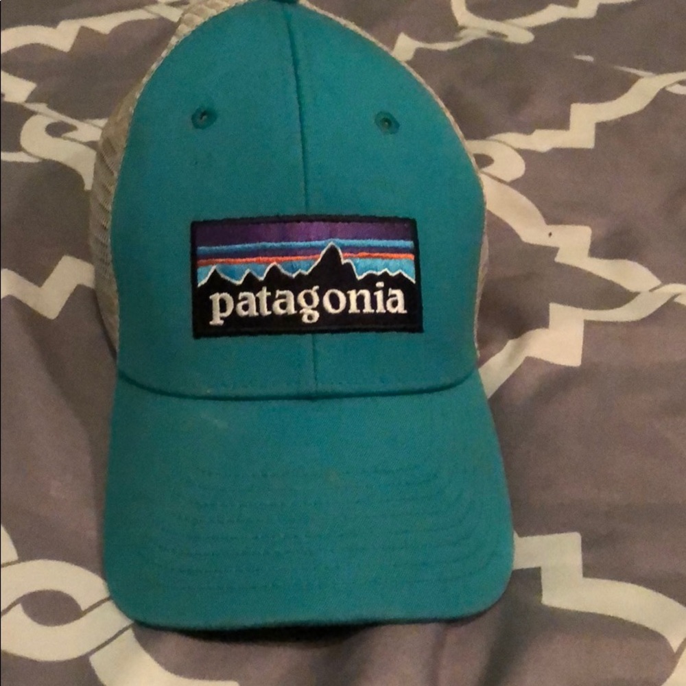 Patagonia trucker hat